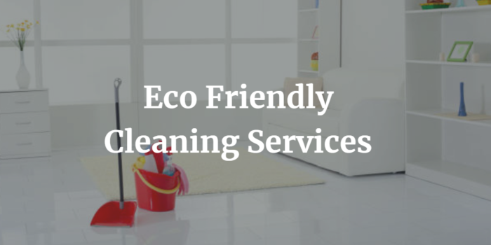 Eco Friendly Cleaning Service