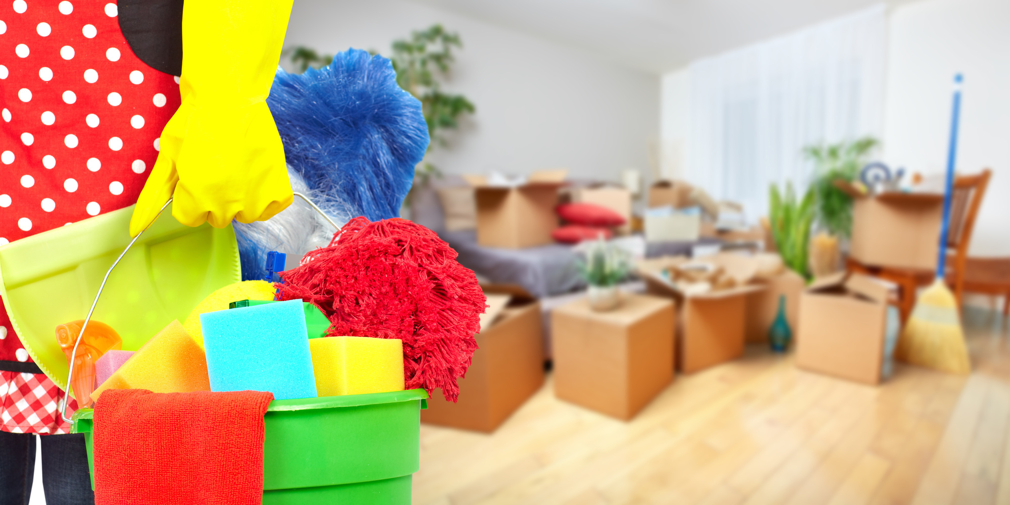 move out cleaning cost