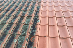 Another Before and After Roof Cleaning Shot
