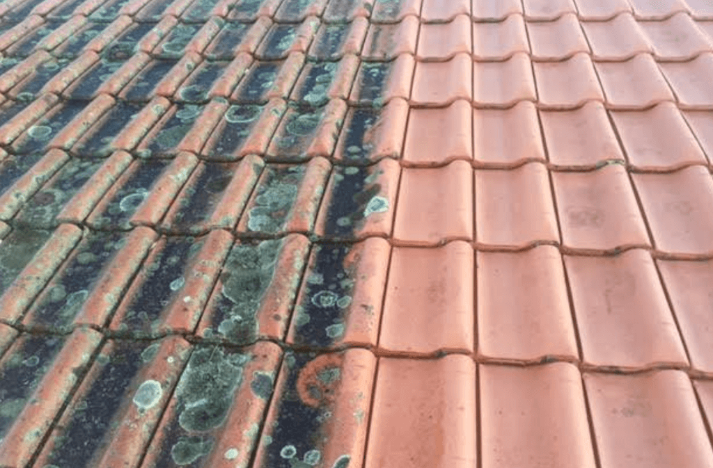 Roof Cleaning Service Near Me Mount Vernon Wa