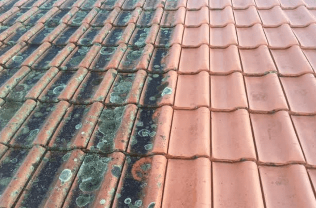 Florida Pro Wash Roof Cleaning Company Panama City Fl