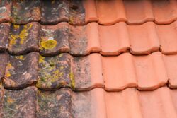 Roof Cleaning - Before & After Shot